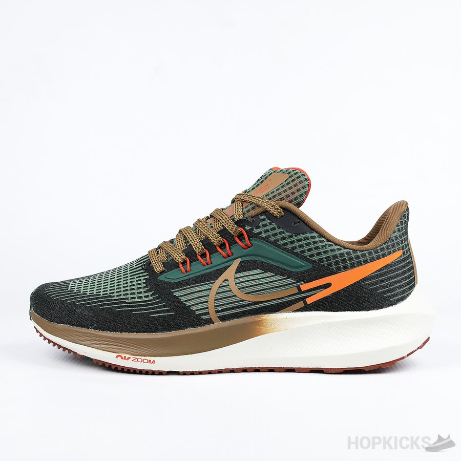 NK Air Zoom Pegasus 39 A.I.R. Hola Lou (Premium Plus Batch)