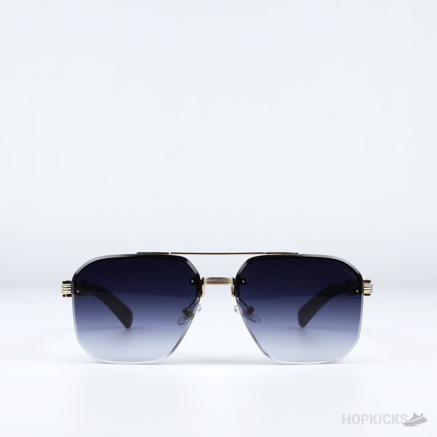 CRT Golden Monarch Vision Frames (Premium Batch)