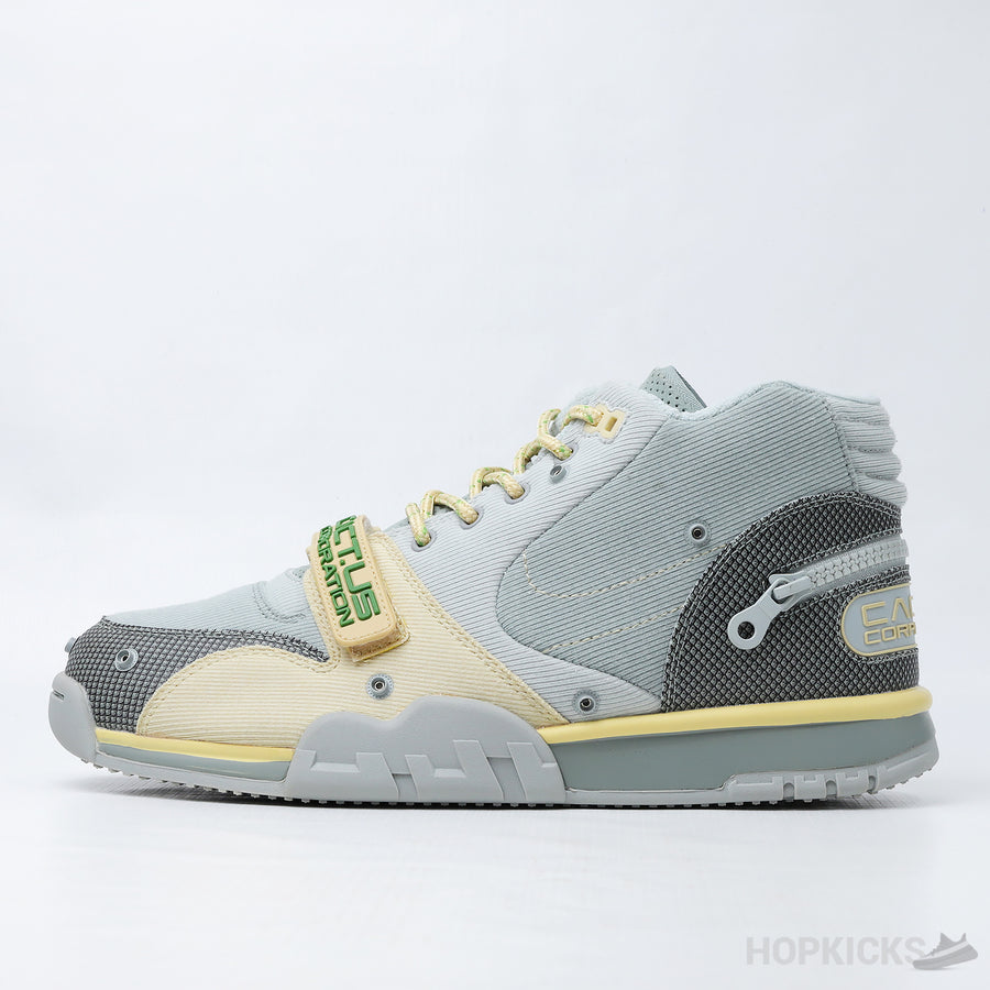 NK Air Trainer 1 SP TS Grey Haze (Dot Perfect)