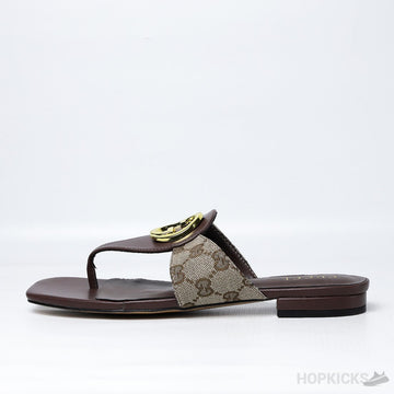 G.U.C.C.I Blondie Thong Sandal Brown