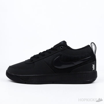 NK Book Chapter 1 Black