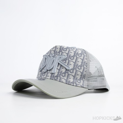 Dior Logo Grey  Cap