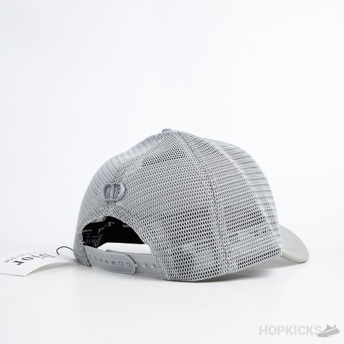 Dior Logo Grey  Cap