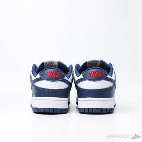 Nike Dunk Low Valerian Blue (Premium Batch)