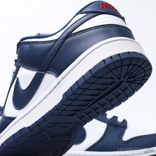 Nike Dunk Low Valerian Blue (Premium Batch)