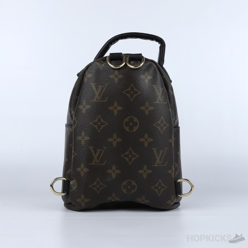 LV Palm Springs Mini Backpack