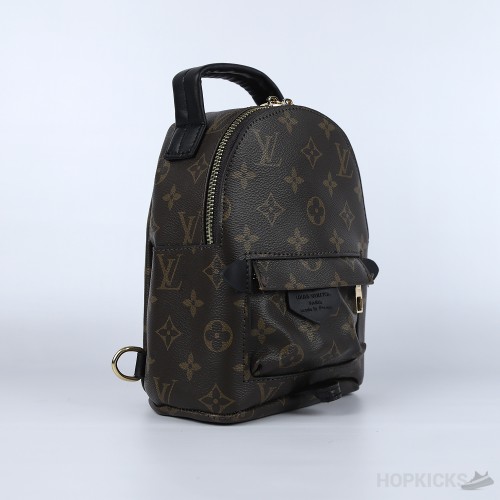 LV Palm Springs Mini Backpack