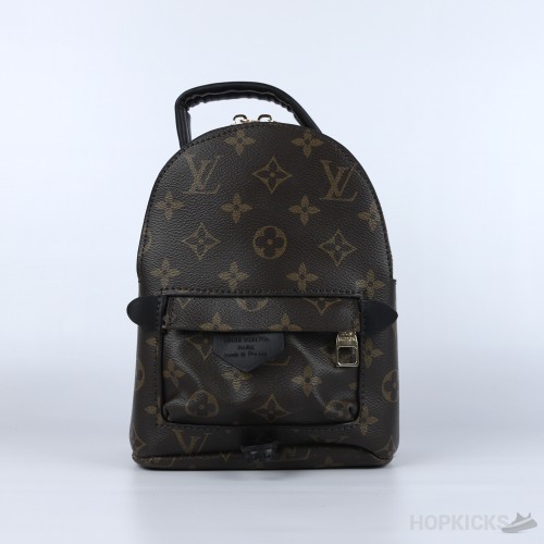 LV Palm Springs Mini Backpack