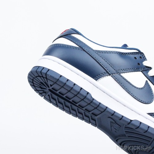 Nike Dunk Low Retro Valerian Blue (Premium Batch)