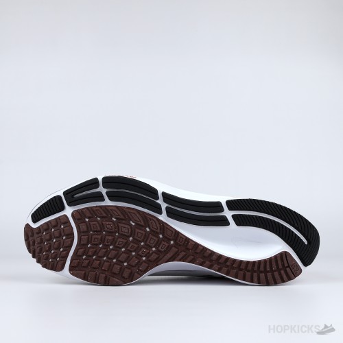 Nike Air Zoom Pegasus 38 Sail Gym Red Black [Without box]