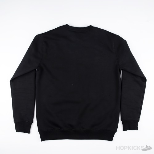 Dior And Stone Island Sweatshirt