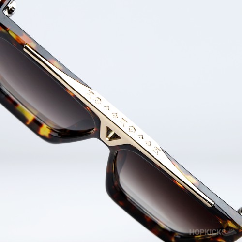 Louis Vuitton Tortohell Frames (Premium)