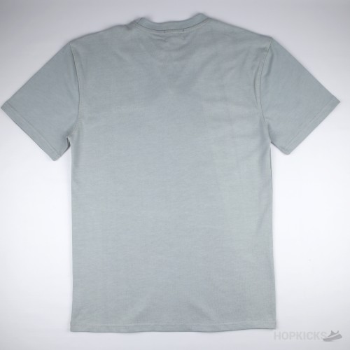 "Dior x Jordan Wings T-shirt Grey"