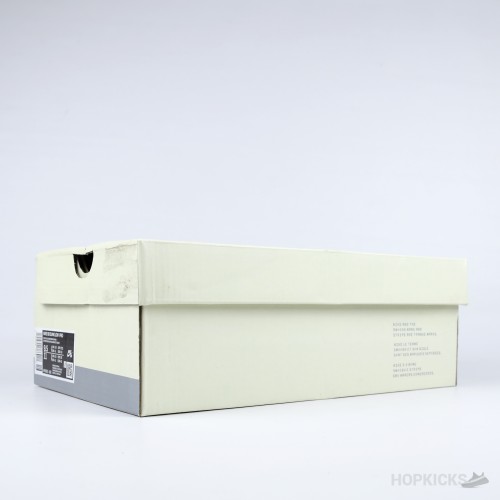 Nike Futura Laboratories x Dunk SB Low Bleached Aqua (Premium Plus Batch)